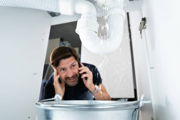 Best Pipe Repair Near Me  in Greenville, IN